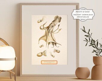 Vintage Squid Antique Illustration, 19th Century Giant Squid, PRINTABLE Wall Art, Digital Download