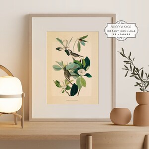 May include: A vintage illustration of two birds perched on a magnolia tree branch with white blossoms. The birds are brown and white with long tails. The illustration is framed in a white frame and has a watermark for Penny & Sage Instant Download Printables.