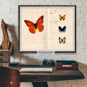May include: Vintage print featuring a collection of butterflies on a page of handwritten text. The butterflies are orange, blue, and white with black markings. The text is in cursive and appears to be a journal entry.