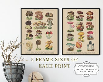 Set of 2:  Vintage Edible & Poisonous Mushroom Illustrations, 19th Century Art Drawings, PRINTABLE Wall Art, Digital Download