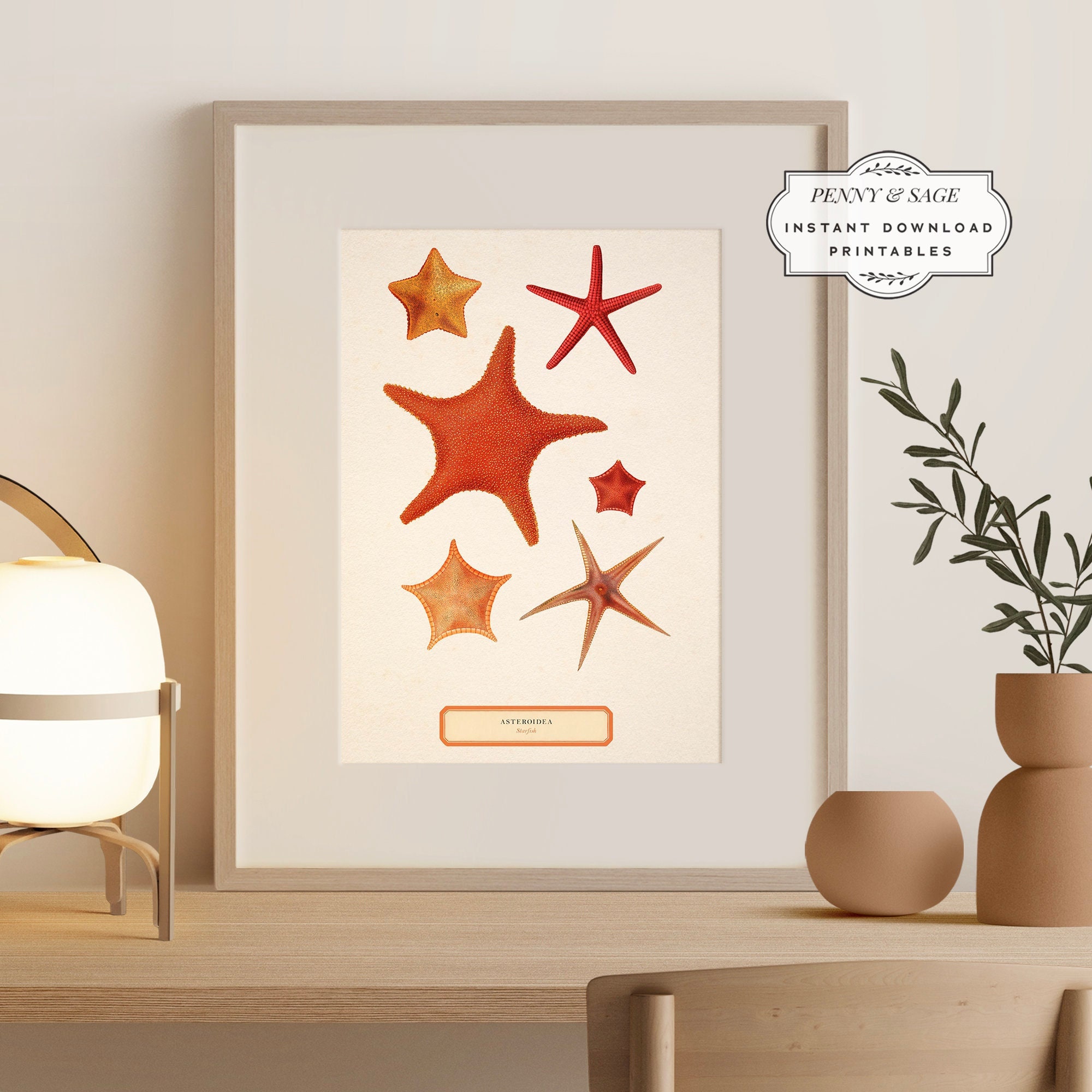 Cute Starfish PNG Clipart Ocean Animals Starfish PNG Adorable Star Fish  Water Bubbles Sublimation Starfish Wall Art Printable Print for Kids