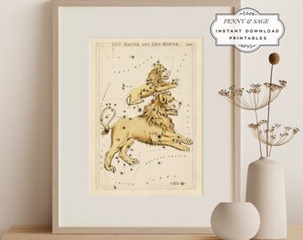 Vintage Sternzeichen Löwe, Leo Illustration Print, Sidney Hall 19. Jahrhundert Kunstzeichnung, DRUCKBARE Wandkunst, Digitaler Download