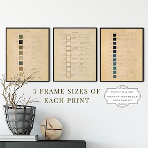 Set van 3 Vintage Art Prints: Kleuren van de natuur Grafiek Groen Wit Blauwe Kleuren, AFDRUKBARE Kunst aan de Muur, Digitale Download
