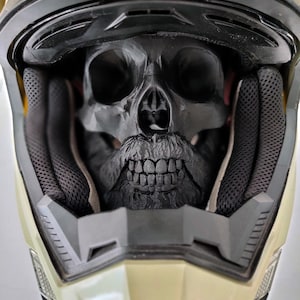 May include: A black skull with a beard is inside a white and black motorcycle helmet.