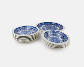 A Set Of Total Of 11 Vintage Villeroy Boch ceramic porcelain Plates Imaging Blue Flowers And Nature