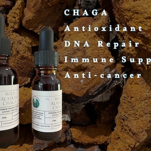 Wild Alaskan Chaga Tincture
