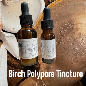 Birch Polypore Tincture