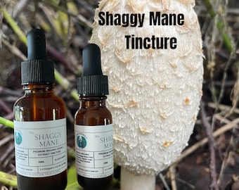 Shaggy Mane Tincture