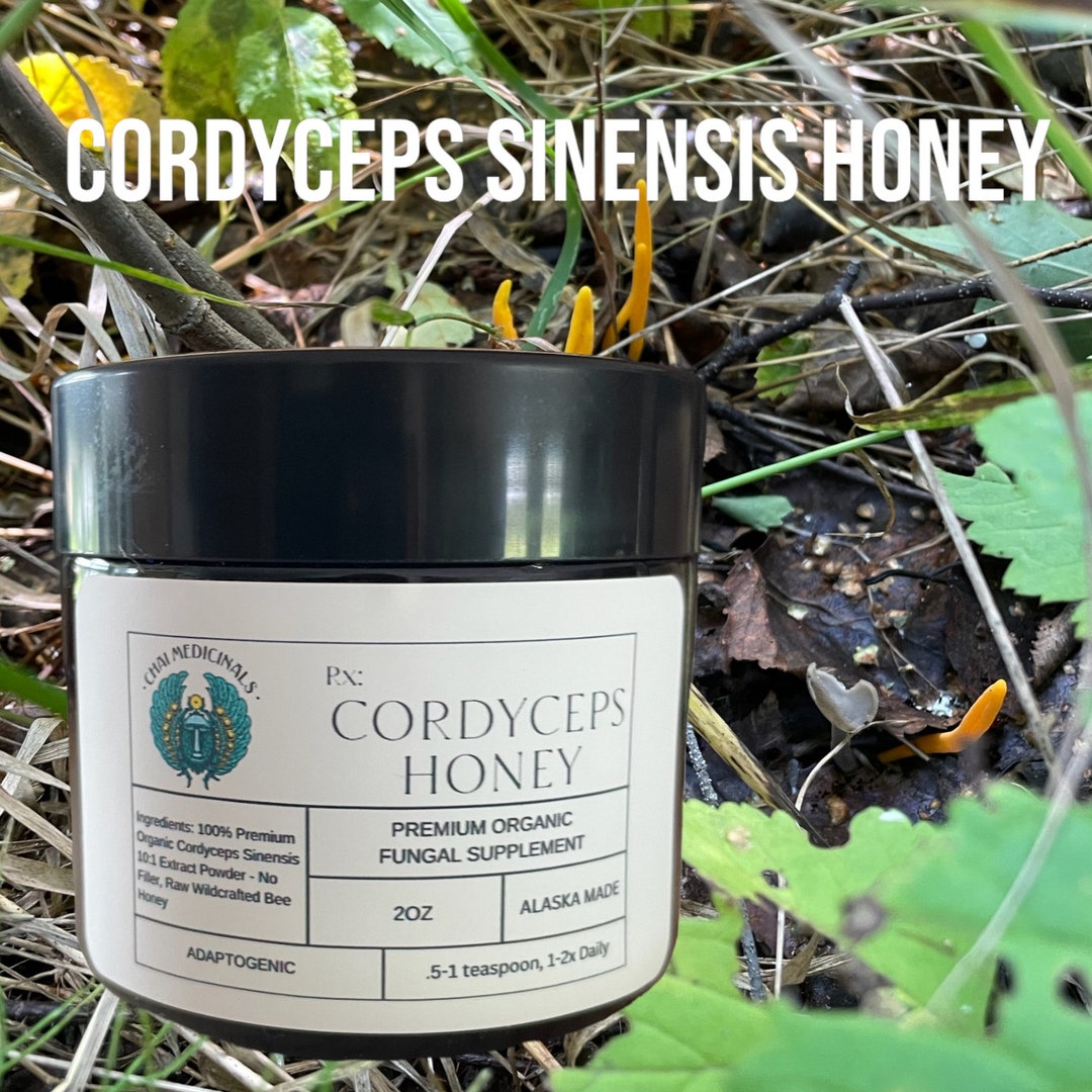 Cordyceps Sinensis Honey Etsy