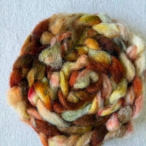 May include: A circular bundle of wool roving in autumnal hues of brown, orange, yellow, and cream. The fibres are tightly twisted, forming a textured, organic shape. The roving appears hand-dyed, with colour variations throughout. Ideal for crafting.