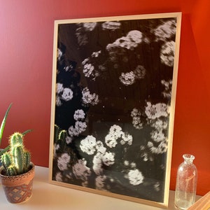Poster - Fleurs, noir et blanc