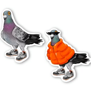 Autocollant oiseau, résistant à l’eau, autocollant en vinyle laminé