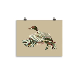 Pintail Duck Painting Print on Tan Background | Gifts for Duck Hunters
