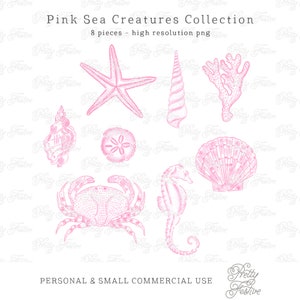 Pink Preppy Watercolor Sea Shells Illustrations Clipart in Lilly Pink, for Sublimation Designs, Party Invites, notecards, monogram gifts 068