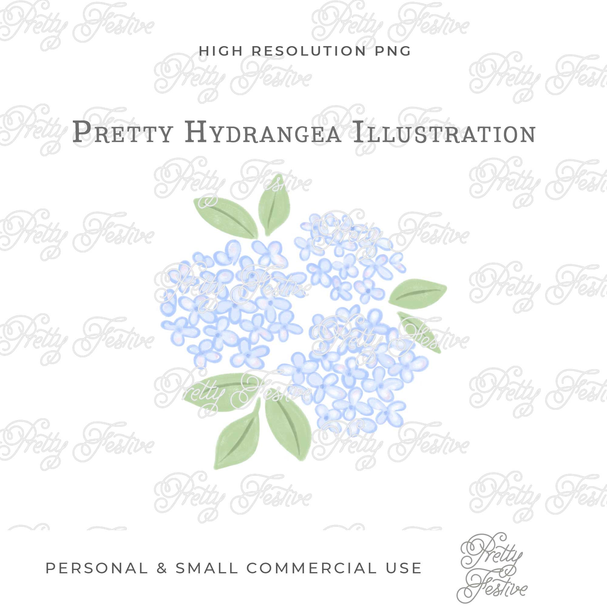 Image of A single Nantucket Blue Hydrangea flower against a white background