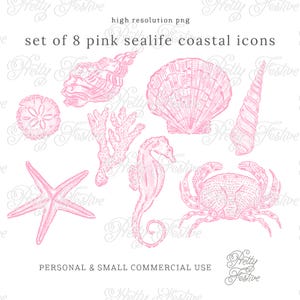 Pink Preppy Watercolor Sea Shells Illustrations Clipart in Lilly Pink, for Sublimation Designs, Party Invites, notecards, monogram gifts 178