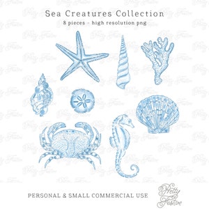 Preppy Watercolor Sea Shells Illustrations Clipart in Chinoiserie Blue, for invites, notecards, monogram gifts, sublimation designs 068