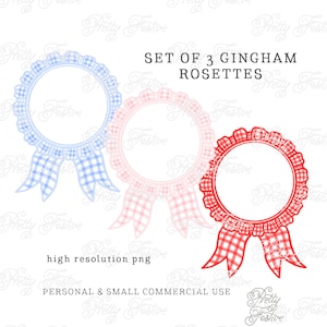 3 Gingham Rosettes Watercolor Clipart, Pink Blue & Red Preppy Watercolour Ribbon and Bow Frames ,Grandmillenial Gingham Ribbon Clipart 105