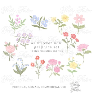 Set of 12 Wildflower Clipart Graphics Hand Drawn Botanicals, Grandmillenial Style 035