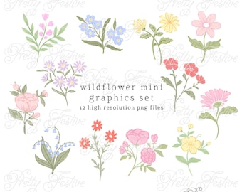 Set of 12 Wildflower Clipart Graphics Hand Drawn Botanicals, Grandmillenial Style 035