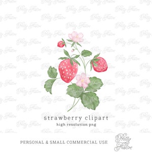 Strawberry and Blossom watercolour clipart design element png for monogrammed items, invites, personalized stationery, girls party 050