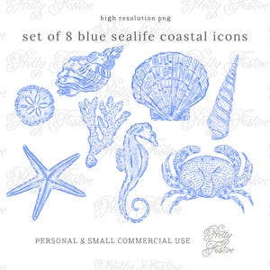 Preppy Watercolor Sea Shells Illustrations Clipart in Chinoiserie Blue, for invites, notecards, monogram gifts, sublimation designs 178