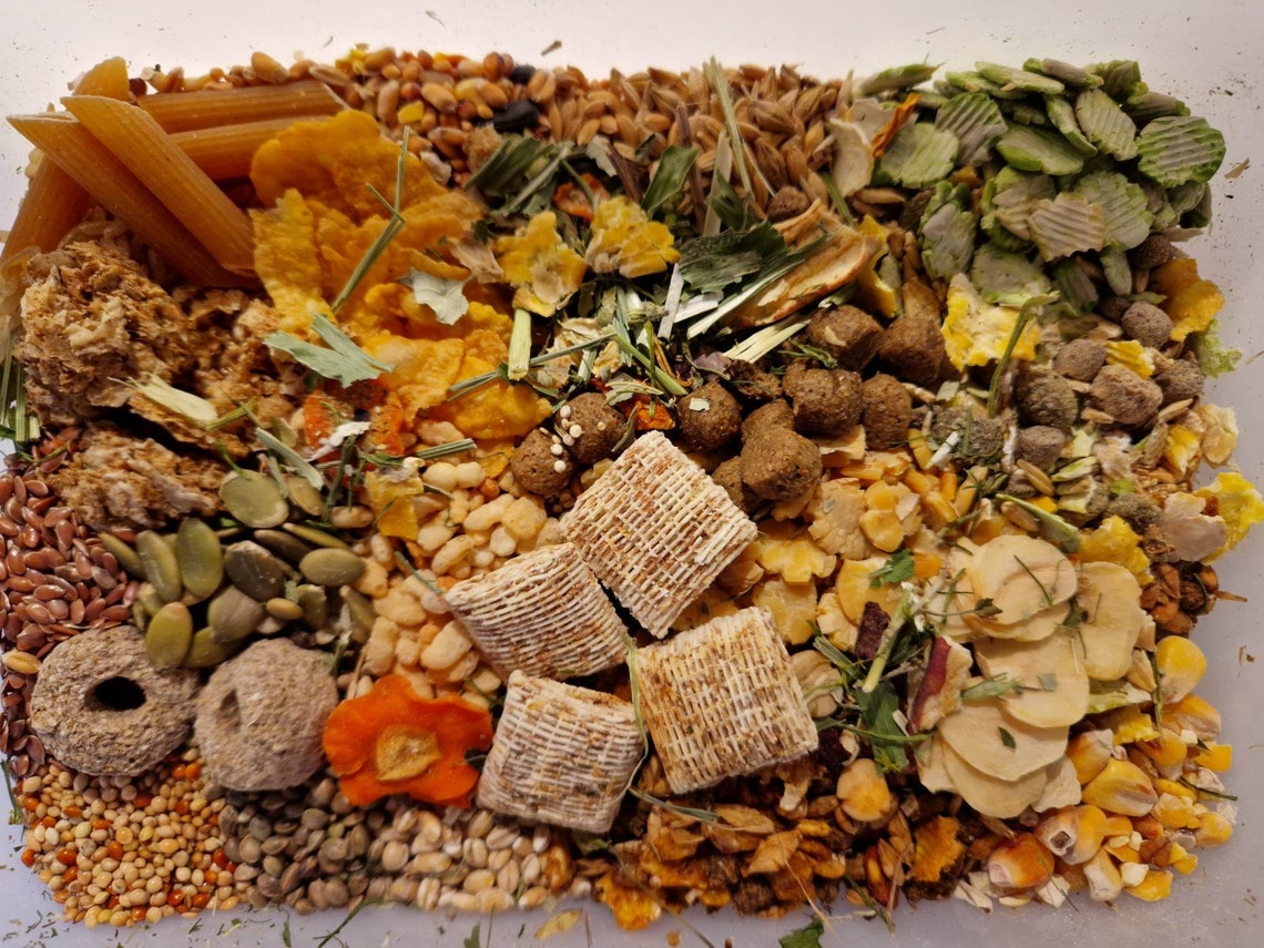 Premium Rat Food Mix Based on the Shunamite Diet Etsy UK