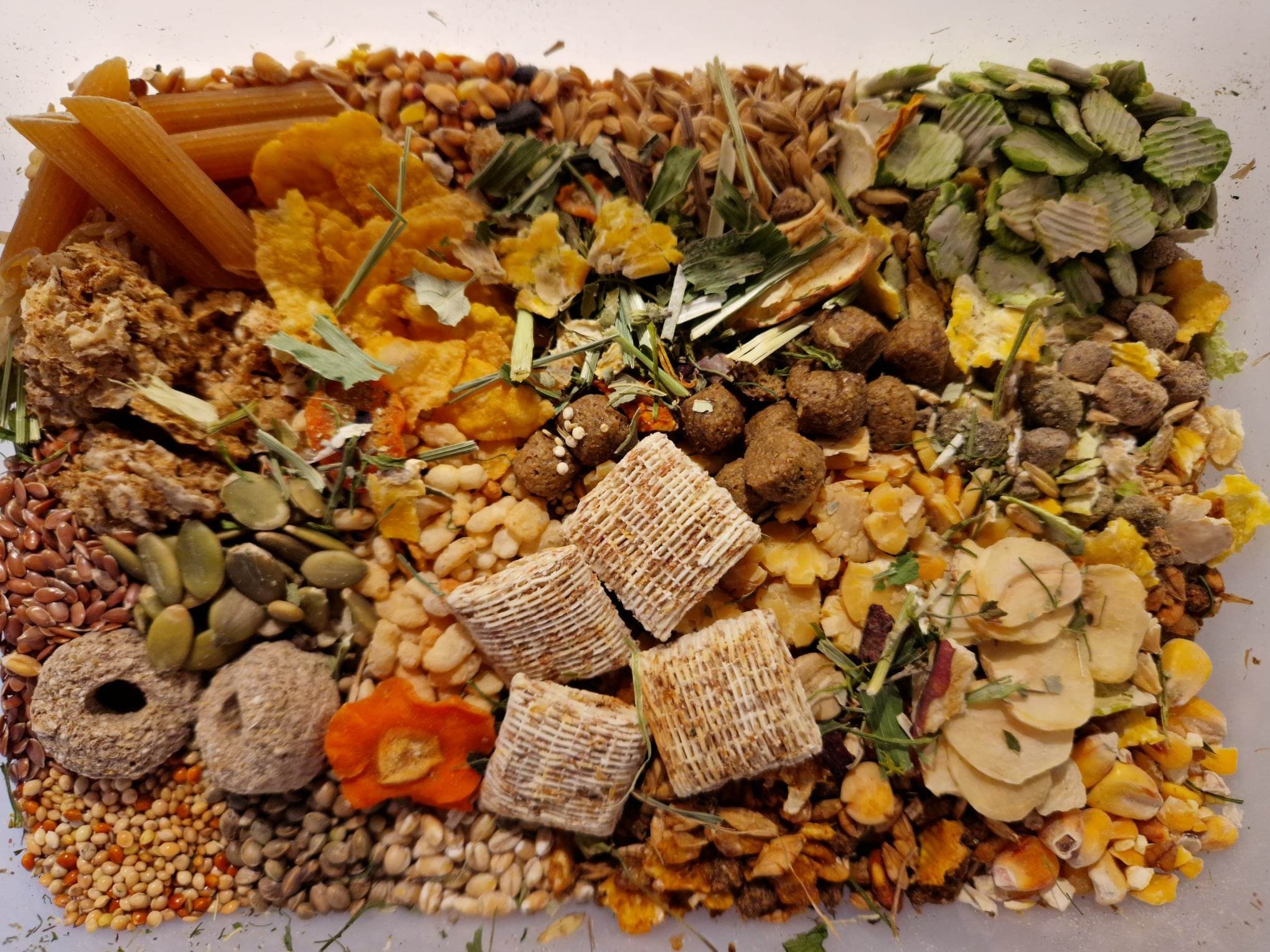 Premium Rat Food Mix Based on the Shunamite Diet Etsy UK