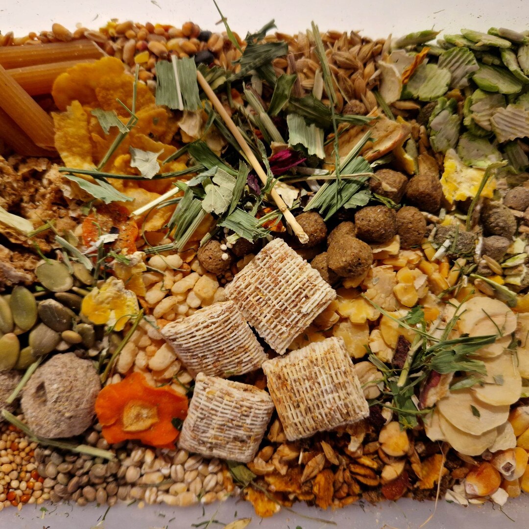 Premium Rat Food Mix Based on the Shunamite Diet Etsy UK