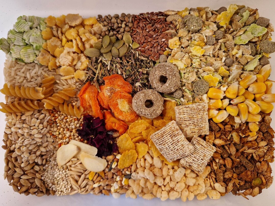 Premium Rat Food Mix Based on the Shunamite Diet Etsy UK