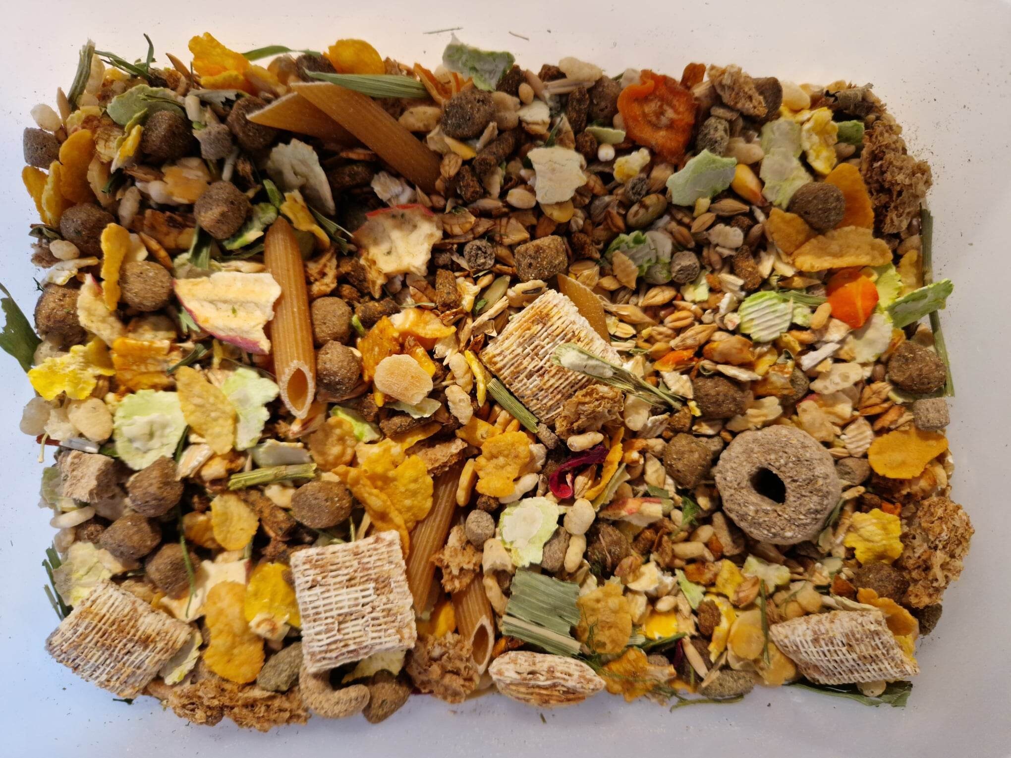 Premium Rat Food Mix Based on the Shunamite Diet Etsy UK