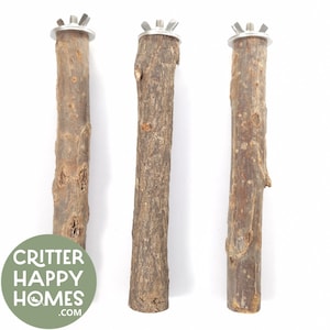 Medellång sittpinne i naturträ, plattform, hylla, gångväg för fågel, undulat, nymfparakit, papegoja, råtta, chinchilla, mus, degu, hamster, rostfritt stål