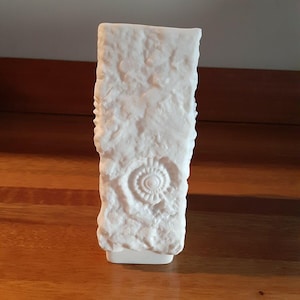 Puede incluir: Un jarr&oacute;n rectangular blanco con una superficie texturizada y un dise&ntilde;o de f&oacute;sil. El jarr&oacute;n tiene una textura rugosa e irregular y una huella de f&oacute;sil en la parte delantera. El jarr&oacute;n est&aacute; hecho de un material blanco s&oacute;lido.