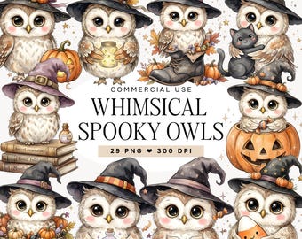 Cute Halloween Owl Clipart Bundle, Watercolor Spooky Owl PNG, Witch Owl Clipart, Fall Autumn Sublimation Graphics, Pumpkin Owl PNG