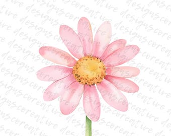 16 margaritas rosas en acuarela: ilustración floral, arte botánico primaveral, descarga digital en formato JPG para manualidades e impresiones