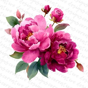 May include: Watercolor illustration of vibrant pink peonies and a rose bud with green leaves. The flowers have yellow centers and are set against a white background. The image has a soft, artistic feel.