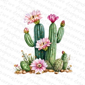 May include: Watercolor illustration of a cactus with pink flowers and buds. The cactus is a vibrant green color, with detailed spines and textures. The flowers are a soft pink, with yellow centers. The image is set against a white background.