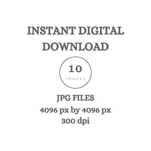 May include: White background with text that reads "INSTANT DIGITAL DOWNLOAD". A circular graphic contains the number "10" and the word "IMAGES". Below, the text reads "JPG FILES 4096 px by 4096 px 300 dpi".