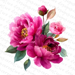 Peut inclure: Illustration à l'aquarelle d'un bouquet de pivoines roses et de boutons floraux, avec des feuilles vertes. Les fleurs ont des centres jaunes, sur fond blanc avec texte.