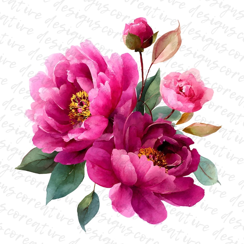 May include: Watercolor illustration of a bouquet of pink peonies and buds with green leaves. The flowers have yellow centers and are set against a white background with faint text.