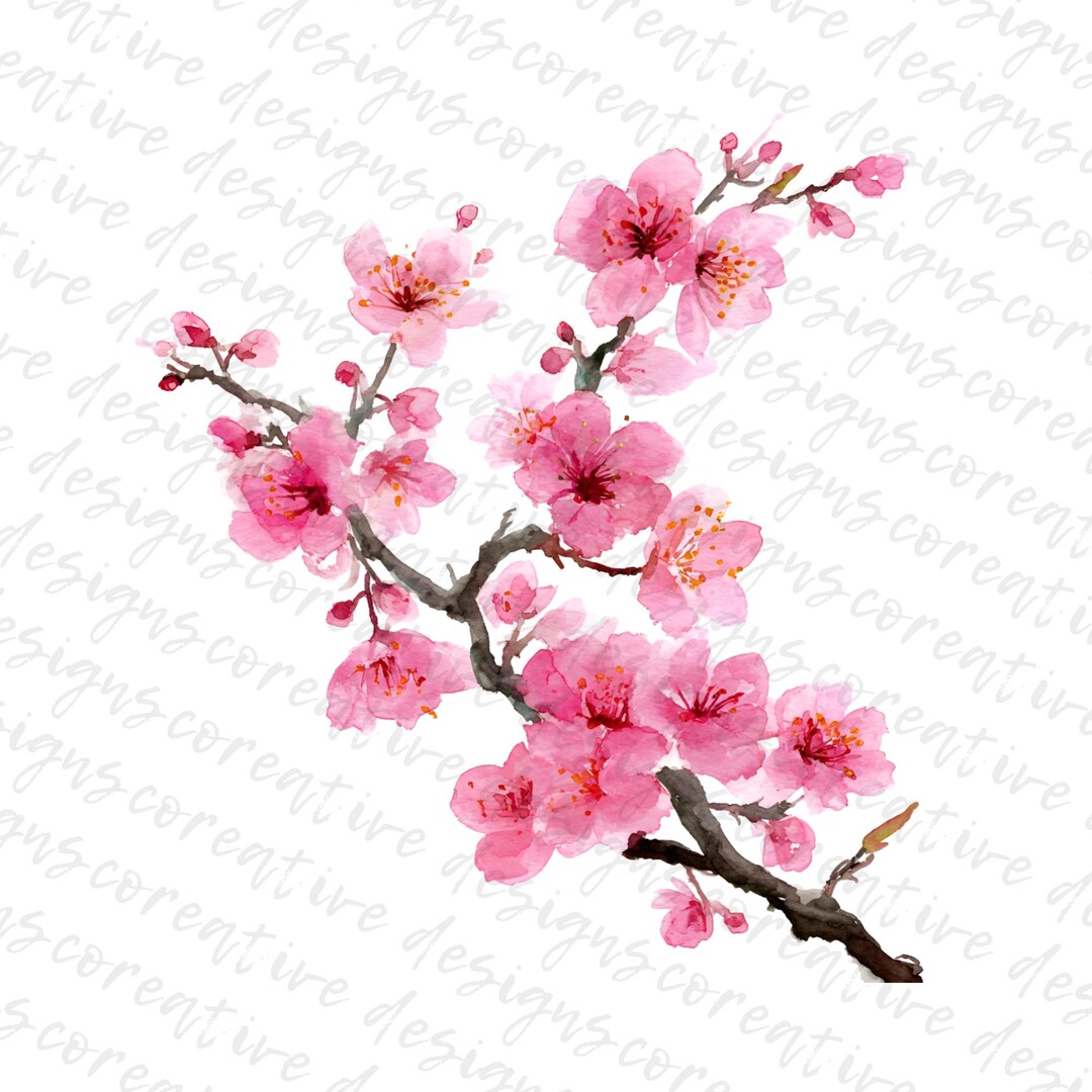 Cherry Blossom Branch Clipart, Floral Botanical Art (digital Download ...