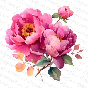 May include: Watercolor illustration of vibrant pink peonies with yellow centers, green leaves, and a small bud. The flowers are in full bloom, showcasing their layered petals and intricate details. The artwork has a soft, artistic style, perfect for floral-themed designs.