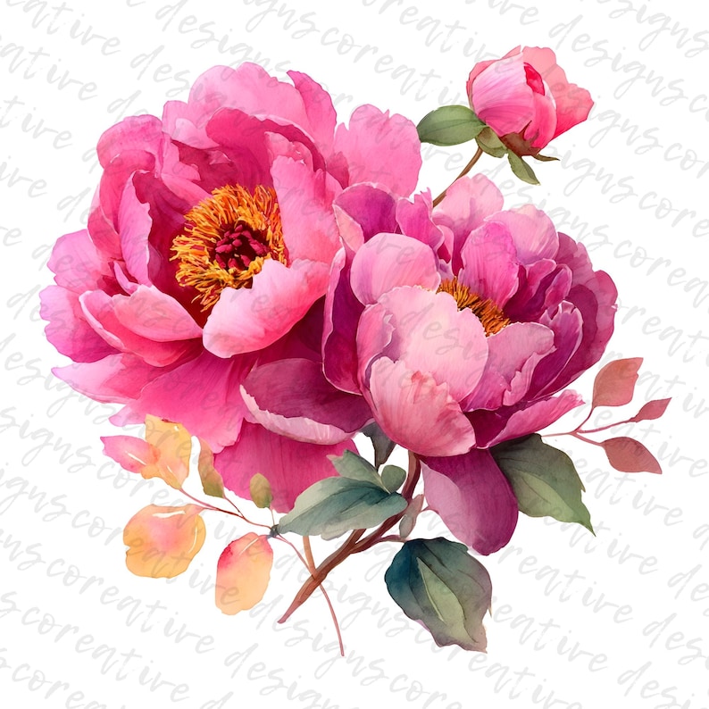 May include: Watercolor illustration of vibrant pink peonies with yellow centers, green leaves, and a small bud. The flowers are in full bloom, showcasing their layered petals and intricate details. The artwork has a soft, artistic style, perfect for floral-themed designs.