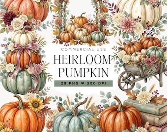Watercolor Pumpkin Clipart, Heirloom Pumpkin PNG, Fall Floral Harvest Graphics, Autumn Sublimation, Thanksgiving Clip Art