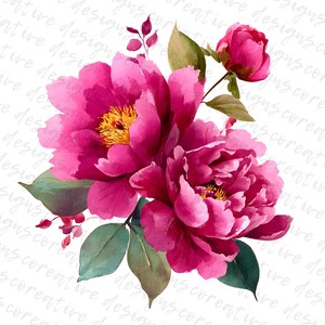 May include: Watercolor illustration of vibrant pink peonies with yellow centers, green leaves, and small red accents. The flowers are in full bloom, showcasing their layered petals. A botanical design on a white background.