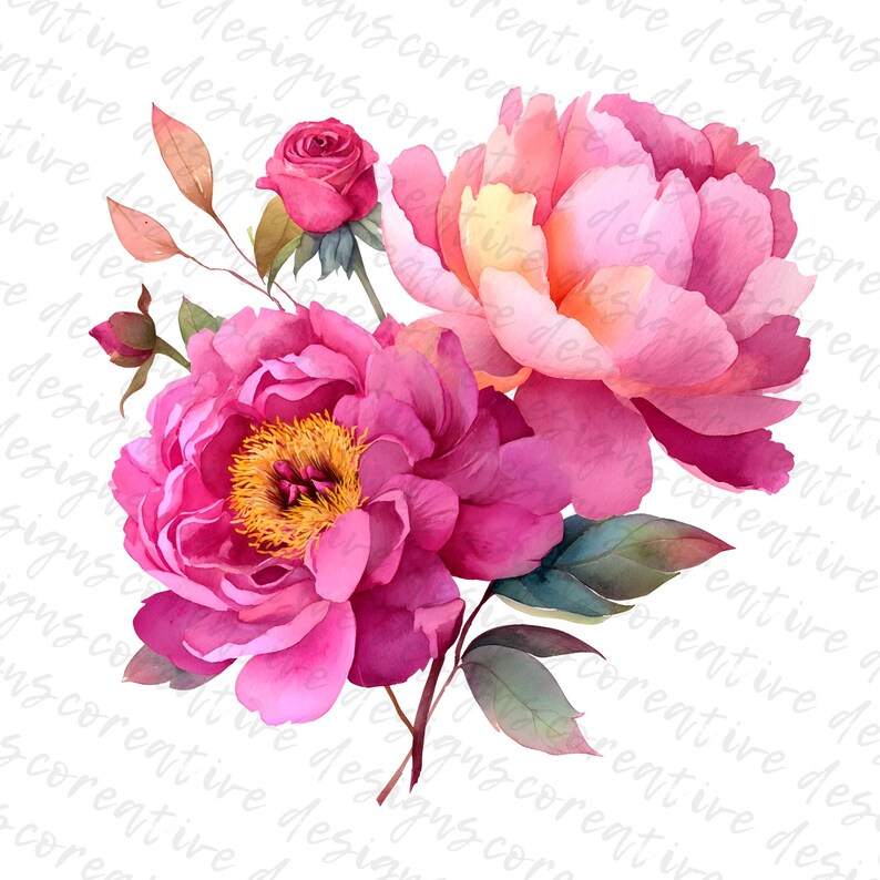 May include: Watercolor illustration of pink peonies and a rose with green leaves and stems. The flowers have a vibrant pink hue with yellow centers, set against a white background. The image has a soft, artistic feel.