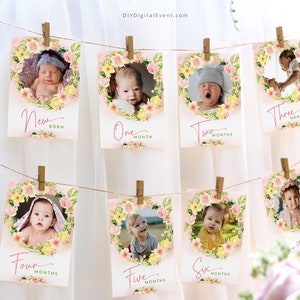 EDITABLE First Birthday Monthly Banner Printable Floral 1st Year Photo Milestone Photo Card Garden Flower Birthday Party Decors Template J3