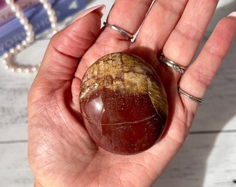 Rainbow Petrified Wood Palm Stone from Madagascar | Polished Petrified Wood Palmstone | Grounding Stone | Crystal Gifts