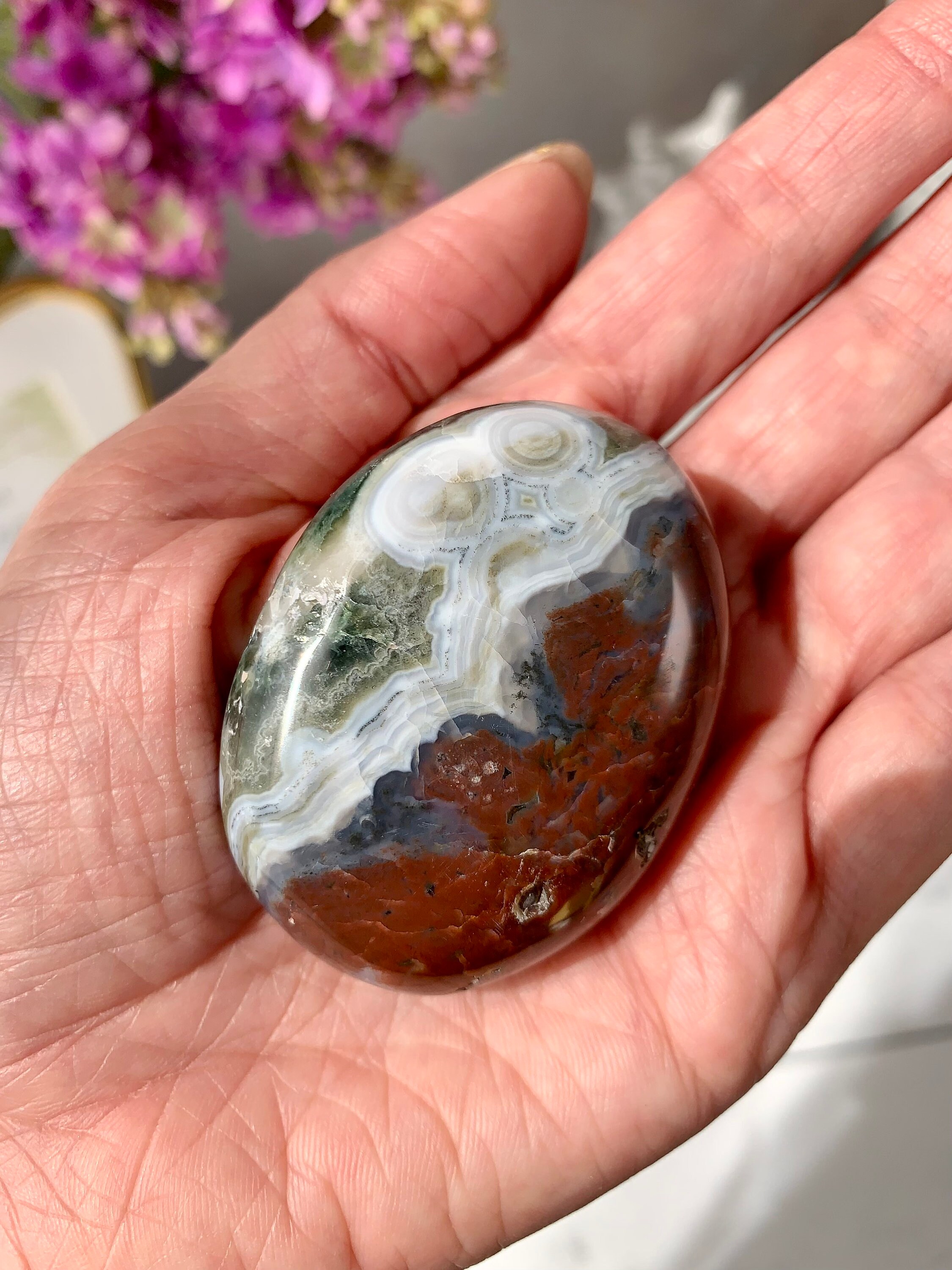 ジャスパーロッテルダムジャイールマッハ ジャスパーロッテルダムジャイールマッハ