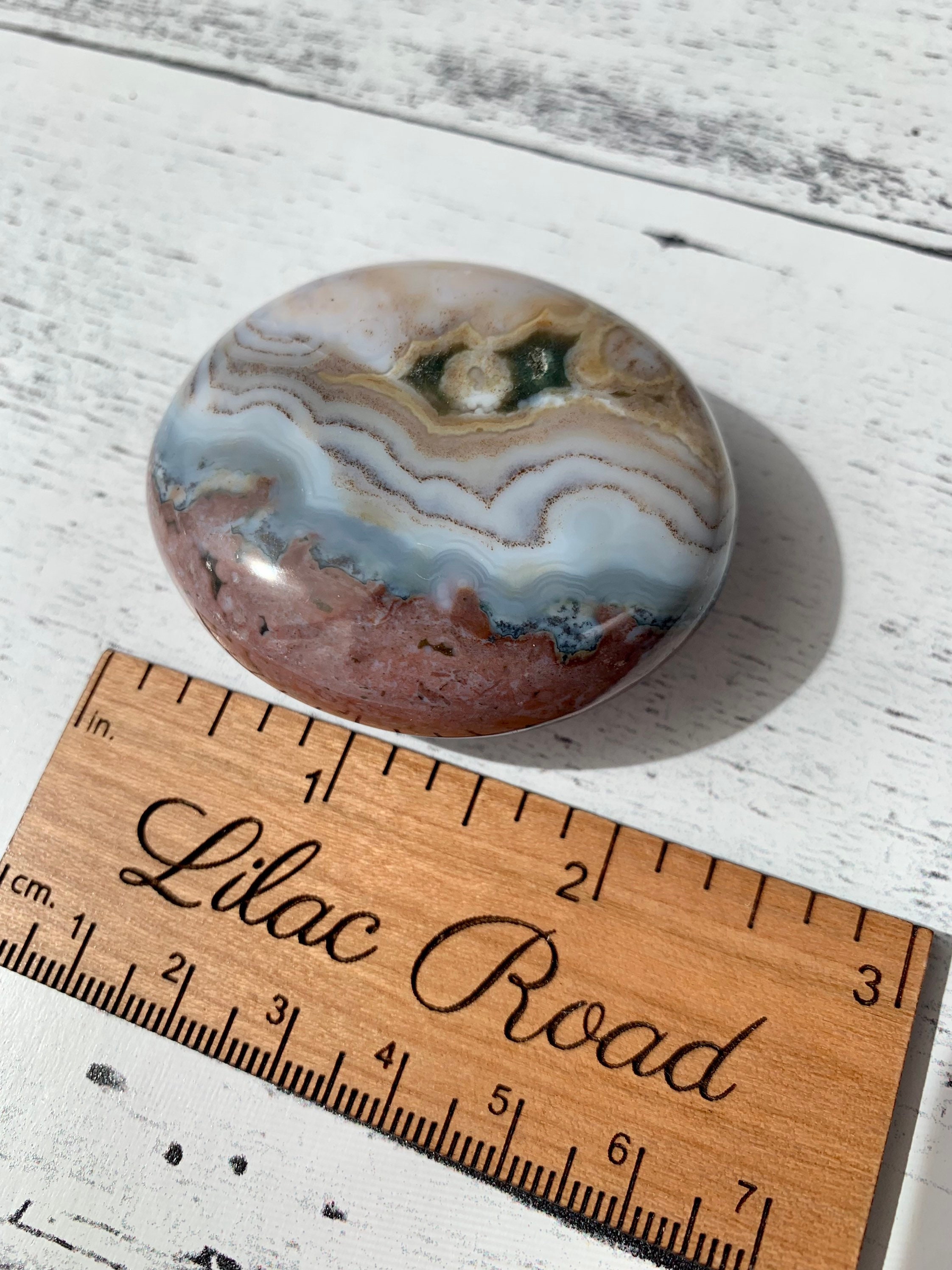 ジャスパーロッテルダムジャイールマッハ ジャスパーロッテルダムジャイールマッハ